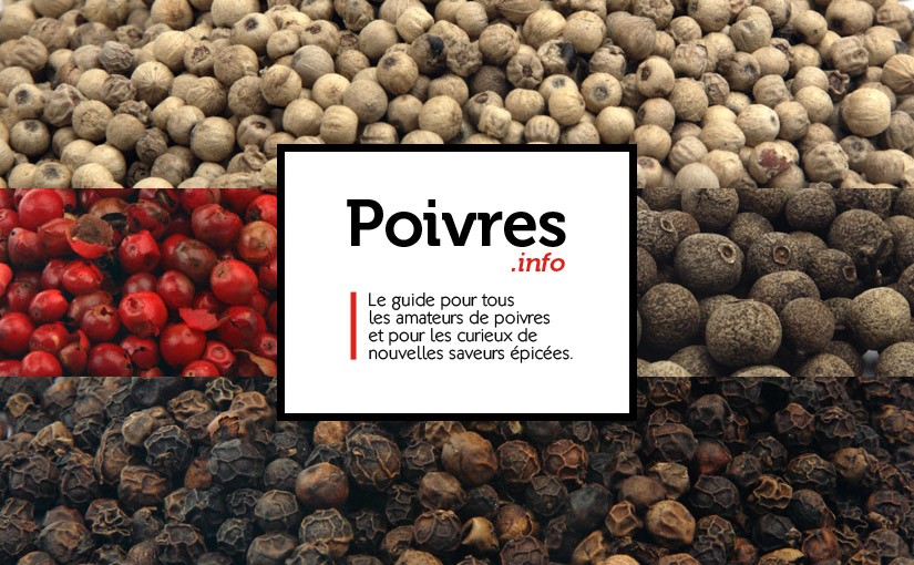 Tout sur le poivre