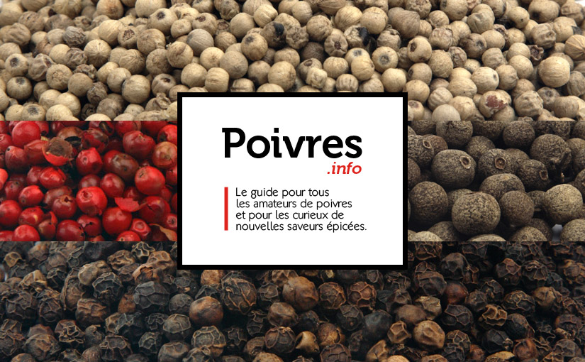 Poivre tout savoir sur les différents poivres